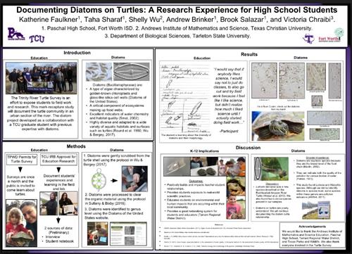 Turtle Survey Poster 